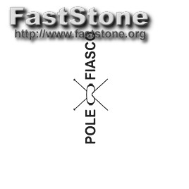 How Do I Create a Logo in Illustrator